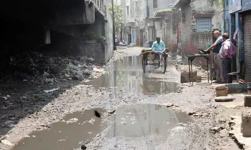 Amritsar में 51 संपत्तियों पर मच्छरों के लार्वा पाए गए, चालान जारी Amritsar में 51 संपत्तियों पर मच्छरों के लार्वा पाए गए, चालान जारी