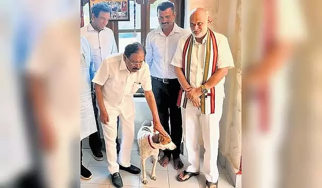 शिरूर भूस्खलन: मालिक की तलाश कर रहे अनाथ कुत्ते को SP के घर में आश्रय मिला शिरूर भूस्खलन: मालिक की तलाश कर रहे अनाथ कुत्ते को SP के घर में आश्रय मिला