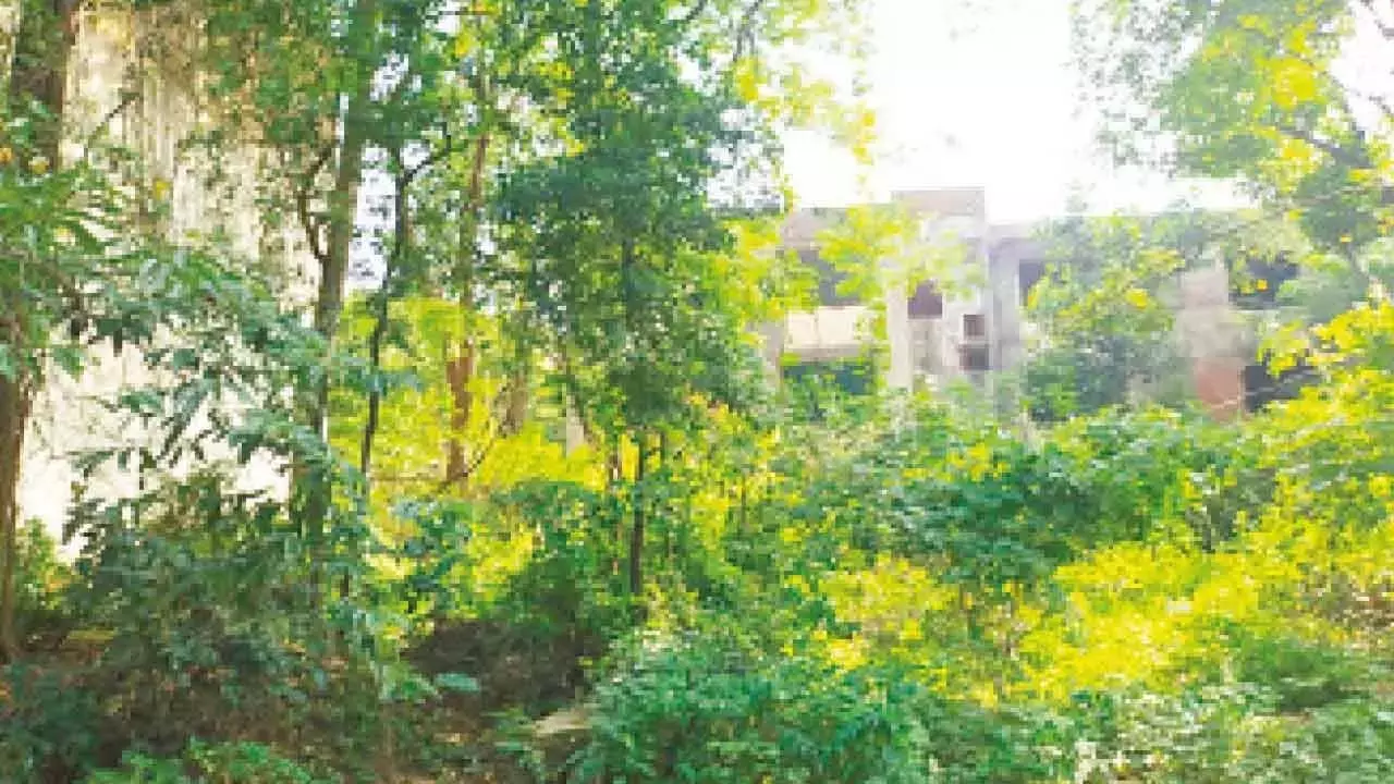 HMT वन भूमि के संरक्षण के लिए सुरजेवाला ने खांडरे की सराहना की HMT वन भूमि के संरक्षण के लिए सुरजेवाला ने खांडरे की सराहना की