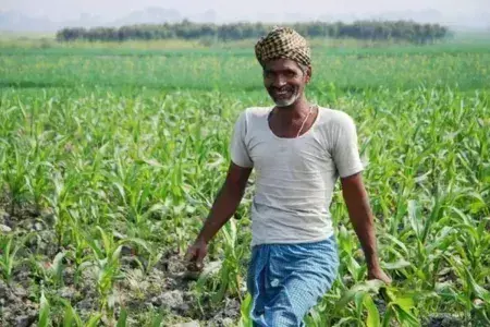 Bhopal: प्रधानमंत्री धन‑धान्य कृषि योजना” को मिली हरी झंडी Bhopal: प्रधानमंत्री धन‑धान्य कृषि योजना” को मिली हरी झंडी