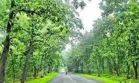 Telangana: कवाल टाइगर रिजर्व में पुनर्वास भूमि के पुनर्आवंटन को लेकर आदिवासियों में संघर्ष Telangana: कवाल टाइगर रिजर्व में पुनर्वास भूमि के पुनर्आवंटन को लेकर आदिवासियों में संघर्ष
