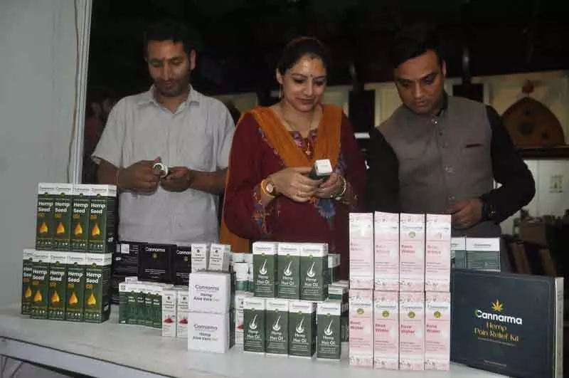 Himachal: उच्च मांग में, भांग उत्पाद किसानों के लिए आय उत्पन्न कर सकते Himachal: उच्च मांग में, भांग उत्पाद किसानों के लिए आय उत्पन्न कर सकते