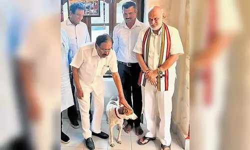 शिरूर भूस्खलन: मालिक की तलाश कर रहे अनाथ कुत्ते को SP के घर में आश्रय मिला शिरूर भूस्खलन: मालिक की तलाश कर रहे अनाथ कुत्ते को SP के घर में आश्रय मिला