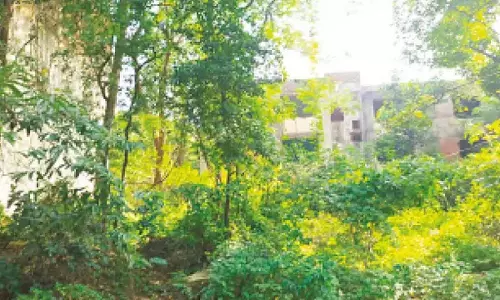 HMT वन भूमि के संरक्षण के लिए सुरजेवाला ने खांडरे की सराहना की