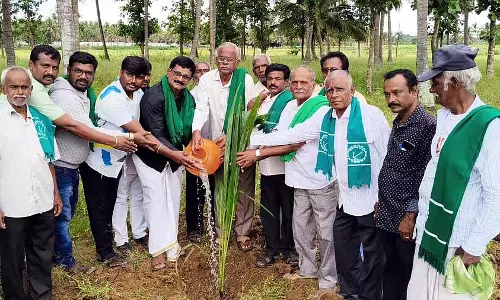 Channapatna : पर्यावरण बचाओ आंदोलन Channapatna : पर्यावरण बचाओ आंदोलन