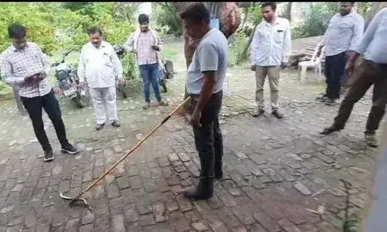 Etawah: नागिन देख ऑफिस में हड़कंप, कर्मचारियों ने बाहर दौड़ लगाई Etawah: नागिन देख ऑफिस में हड़कंप, कर्मचारियों ने बाहर दौड़ लगाई