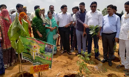 Jaipur: पौधारोपण को लेकर पूरे जिले में रहा उत्साह का माहौल Jaipur: पौधारोपण को लेकर पूरे जिले में रहा उत्साह का माहौल