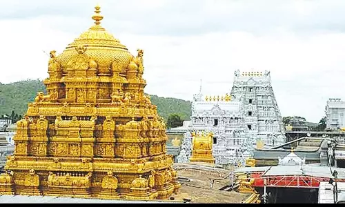 Tirumala मंदिर में अनिवारा अस्थानम का अवलोकन किया गया