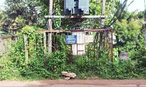 Kerala : ट्रांसफार्मर और उसके आसपास का क्षेत्र वनस्पति से भरा हुआ Kerala : ट्रांसफार्मर और उसके आसपास का क्षेत्र वनस्पति से भरा हुआ