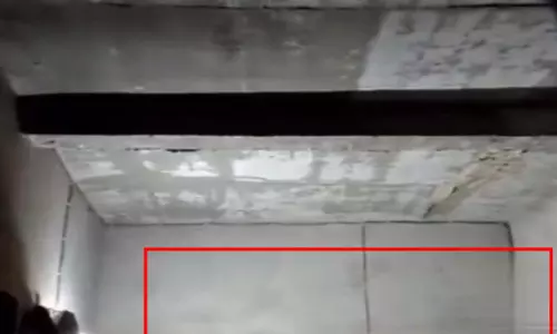 CG BREAKING: जमीन विवाद में महिला पर कुल्हाड़ी से हमला, LIVE VIDEO आया सामने, आरोपी फरार