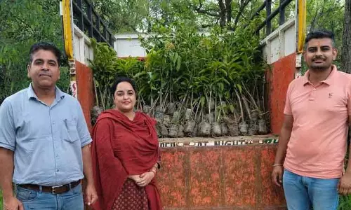 बागवानी विभाग Kangra district में 60 हजार फलदार पौधे वितरित करेगा