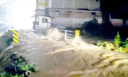 मवेशी बाजार के पास जंगल में भूस्खलन हुआ, जिससे नदियां उफान पर आ गई