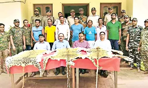 Odisha : वन विभाग के अधिकारियों ने कई स्थानों पर तीन तेंदुए की खालें जब्त की Odisha : वन विभाग के अधिकारियों ने कई स्थानों पर तीन तेंदुए की खालें जब्त की