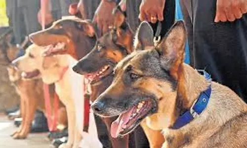 Kerala  पुलिस बहु-भूमिका जांच कार्य के लिए 38 पिल्लों को प्रशिक्षित करेगी