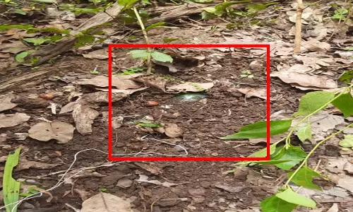 CG BREAKING: माओवादियों की साजिश नाकाम, CRPF ने 2 IED बम किया नष्ट