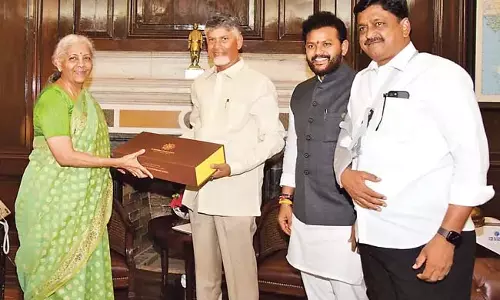 Andhra : मुख्यमंत्री चंद्रबाबू नायडू ने केंद्रीय वित्त मंत्री से मुलाकात की