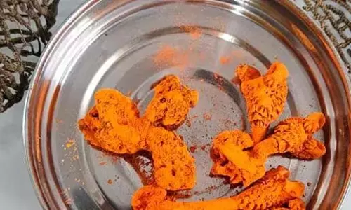 मॉनिटर छिपकली का जननांग बेचने के आरोप में एक व्यक्ति गिरफ्तार