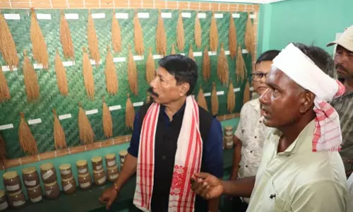 Atul Bora ने किसानों के स्वदेशी धान बीज पुस्तकालय को सरकारी सहायता का आश्वासन दिया Atul Bora ने किसानों के स्वदेशी धान बीज पुस्तकालय को सरकारी सहायता का आश्वासन दिया