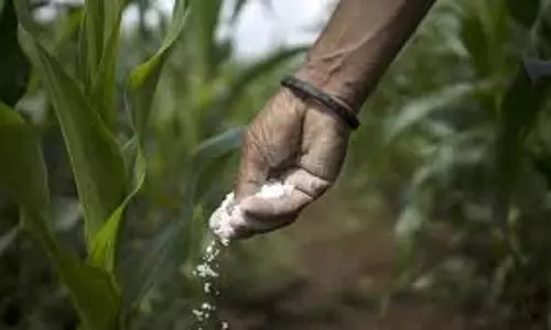 Kurukshetra: खाद संकट पर हंगामा, किसानों ने कृषि विभाग पर उतारा गुस्सा