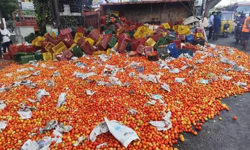 डिवाइडर से टकराकर पलटी लॉरी.. सड़क पर गिरे टमाटर