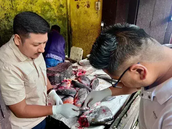 Arunachal: मछली बाजारों का निरीक्षण किया गया Arunachal: मछली बाजारों का निरीक्षण किया गया
