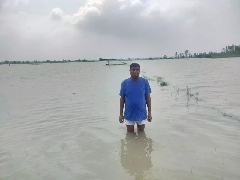 Hisar, भिवानी में भारी बारिश से जलभराव, किसान परेशान Hisar, भिवानी में भारी बारिश से जलभराव, किसान परेशान
