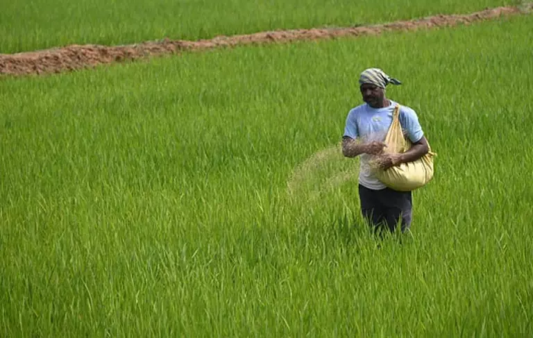Odisha सरकार ने उर्वरक जमाखोरी और कालाबाजारी पर कार्रवाई तेज कर दी Odisha सरकार ने उर्वरक जमाखोरी और कालाबाजारी पर कार्रवाई तेज कर दी