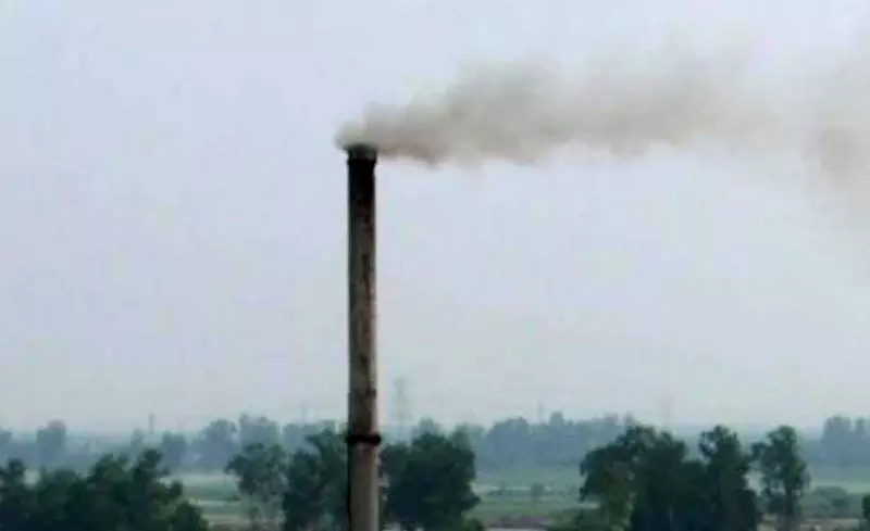 Haryana : खाद्य निर्माण इकाई से वायु के नमूने लिए गए Haryana : खाद्य निर्माण इकाई से वायु के नमूने लिए गए