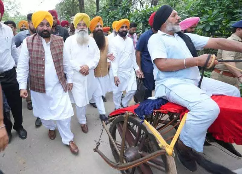 Ludhiana: प्रतिबंध हटने से खुश ग्रामीण खेल आयोजक बैलगाड़ी दौड़ की तैयारी में जुटे Ludhiana: प्रतिबंध हटने से खुश ग्रामीण खेल आयोजक बैलगाड़ी दौड़ की तैयारी में जुटे