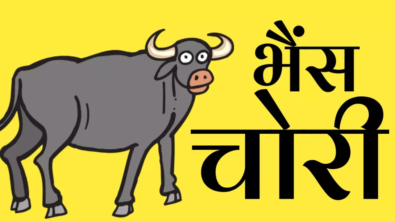 Farrukhabad: सड़क हादसे और भैंस चोरी से मचा हड़कंप Farrukhabad: सड़क हादसे और भैंस चोरी से मचा हड़कंप