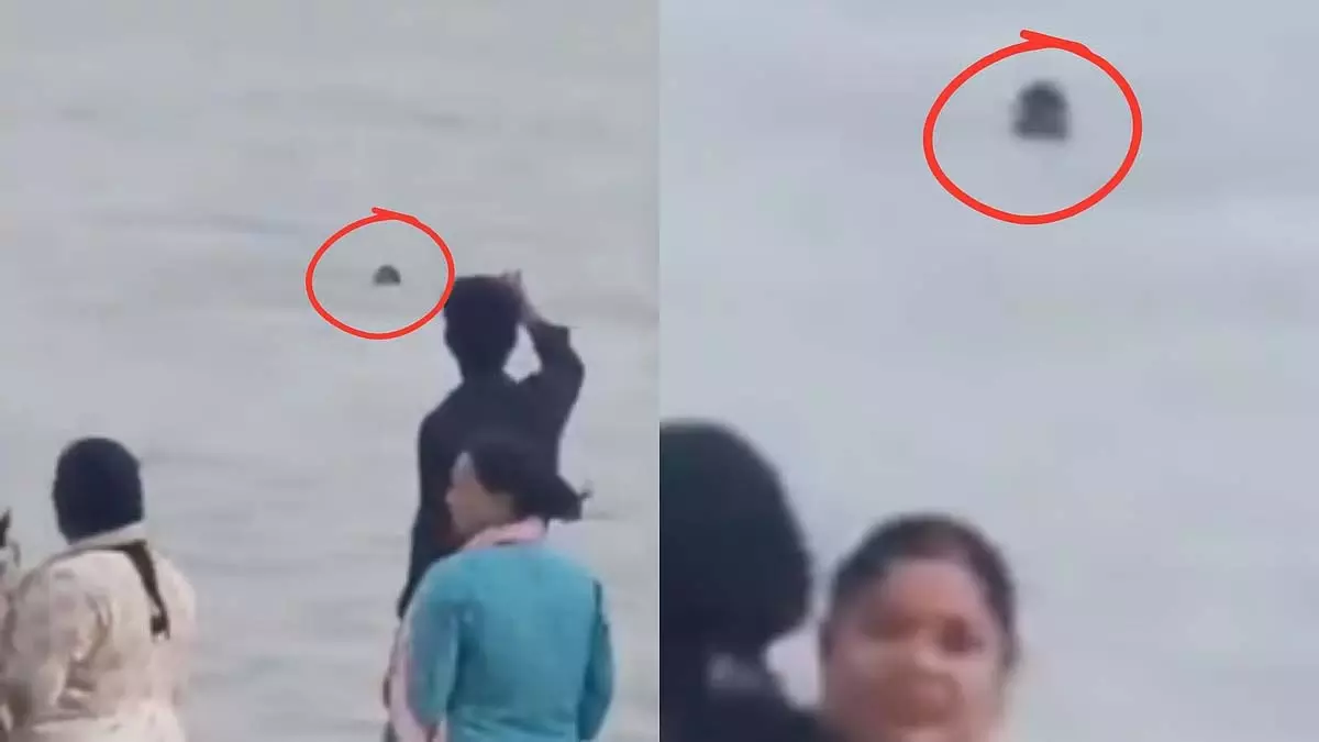 Prayagraj : डूबते किशोर को बचाने के बजाय, लोग वीडियो बनाते रहे Prayagraj : डूबते किशोर को बचाने के बजाय, लोग वीडियो बनाते रहे