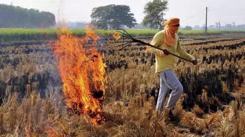 Amritsar: धान की कटाई के मौसम से पहले पराली संरक्षण बल का गठन किया जाएगा Amritsar: धान की कटाई के मौसम से पहले पराली संरक्षण बल का गठन किया जाएगा