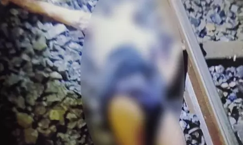 खोपड़ी अलग था, रेलवे ट्रैक पर मिला अज्ञात पुरुष का शव