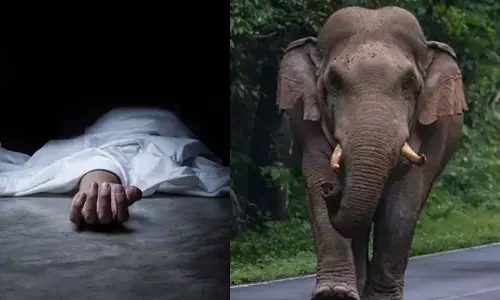 Karnataka: जंगली हाथी ने एक व्यक्ति को कुचलकर मार डाला Karnataka: जंगली हाथी ने एक व्यक्ति को कुचलकर मार डाला