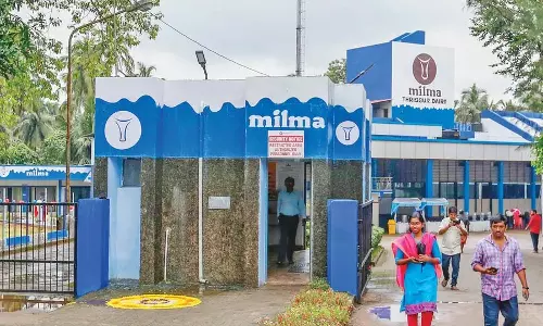 KERALA: मिल्मा ने निजी ब्रांडों से मुकाबला करने के लिए बोतलबंद दूध लॉन्च किया KERALA: मिल्मा ने निजी ब्रांडों से मुकाबला करने के लिए बोतलबंद दूध लॉन्च किया