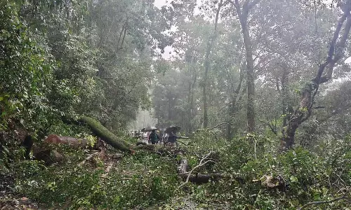 राज्य में 2.15 लाख एकड़ वन भूमि पर अतिक्रमण; 10,901 एकड़ भूमि को हटाने का लक्ष्य