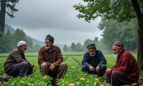 Shopian बारिश लौटने से किसानों को राहत