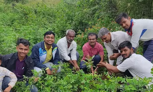 Kalaghatagi ; हरित ग्राम अभियान