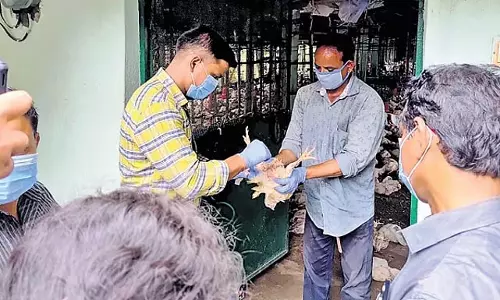 Odisha: डेराबिश ब्लॉक में मृत मुर्गियों से बर्ड फ्लू का डर, प्रशासन अलर्ट पर