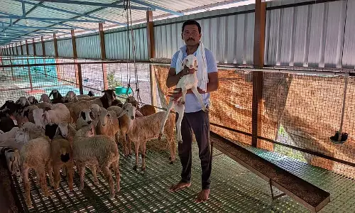 Hubli : किसान द्वारा भेड़ पालन Hubli : किसान द्वारा भेड़ पालन
