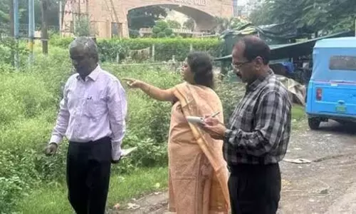 Greater Noida: हरित क्षेत्र पर कब्जा नहीं चलेगा, बागवानी विभाग सख्त