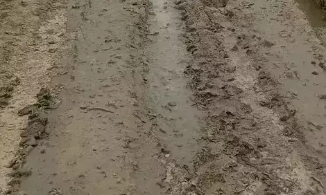 Farrukhabad: नसरतपुर नौगवां की सड़क आज भी बदहाल