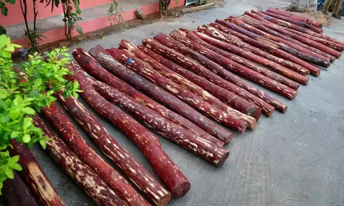 Andhra: गारंटर को 6 महीने की कैद Andhra: गारंटर को 6 महीने की कैद