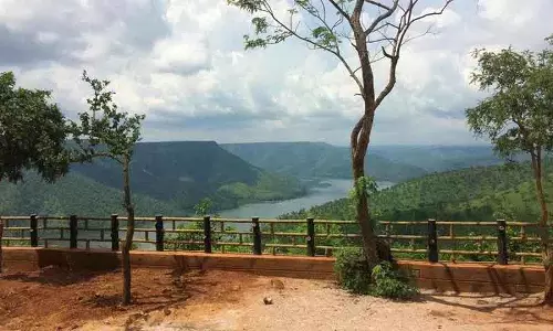 Amrabad टाइगर रिजर्व के लिए रिक्तियां और समर्थन की कमी एक चुनौती