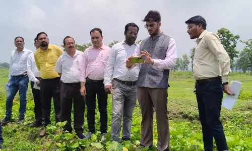 कलेक्टर ने फिल्ड पर उतरकर किया डिजिटल क्रॉप सर्वे
