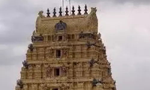 Nellore में चार मंदिरों को लूटा और अपवित्र किया गया