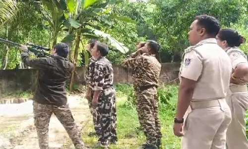 Konark: 5 दिनों की अफरा-तफरी के बाद नंदनकानन टीम ने बंदर को पकड़ा