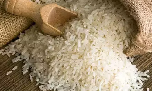 छत्तीसगढ़ : चावल उपार्जन लक्ष्य में 8 लाख मीट्रिक टन की वृद्धि छत्तीसगढ़ : चावल उपार्जन लक्ष्य में 8 लाख मीट्रिक टन की वृद्धि