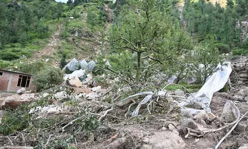Seraj, करसोग, धर्मपुर सबसे ज्यादा प्रभावित, बागवानी को 29 करोड़ रुपये का नुकसान Seraj, करसोग, धर्मपुर सबसे ज्यादा प्रभावित, बागवानी को 29 करोड़ रुपये का नुकसान