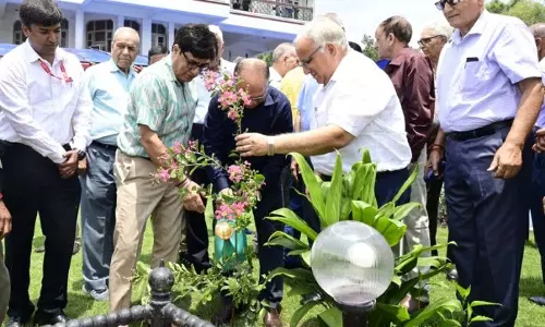 वैष्णवी वाटिका में श्राइन बोर्ड, CGPWA द्वारा सहयोगात्मक हरित प्रयास वैष्णवी वाटिका में श्राइन बोर्ड, CGPWA द्वारा सहयोगात्मक हरित प्रयास